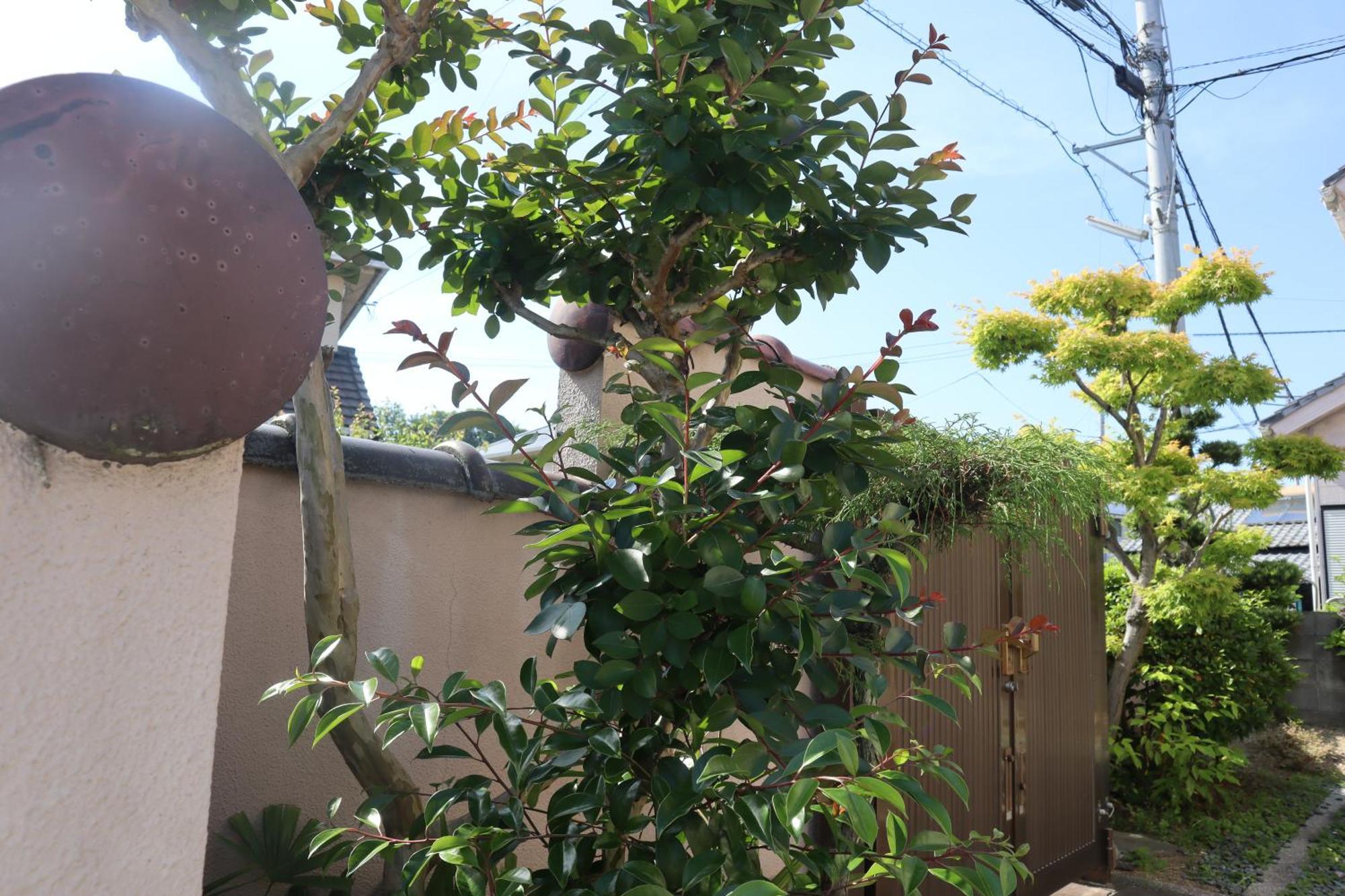 立花荘 Villa Matsuyama  Ngoại thất bức ảnh
