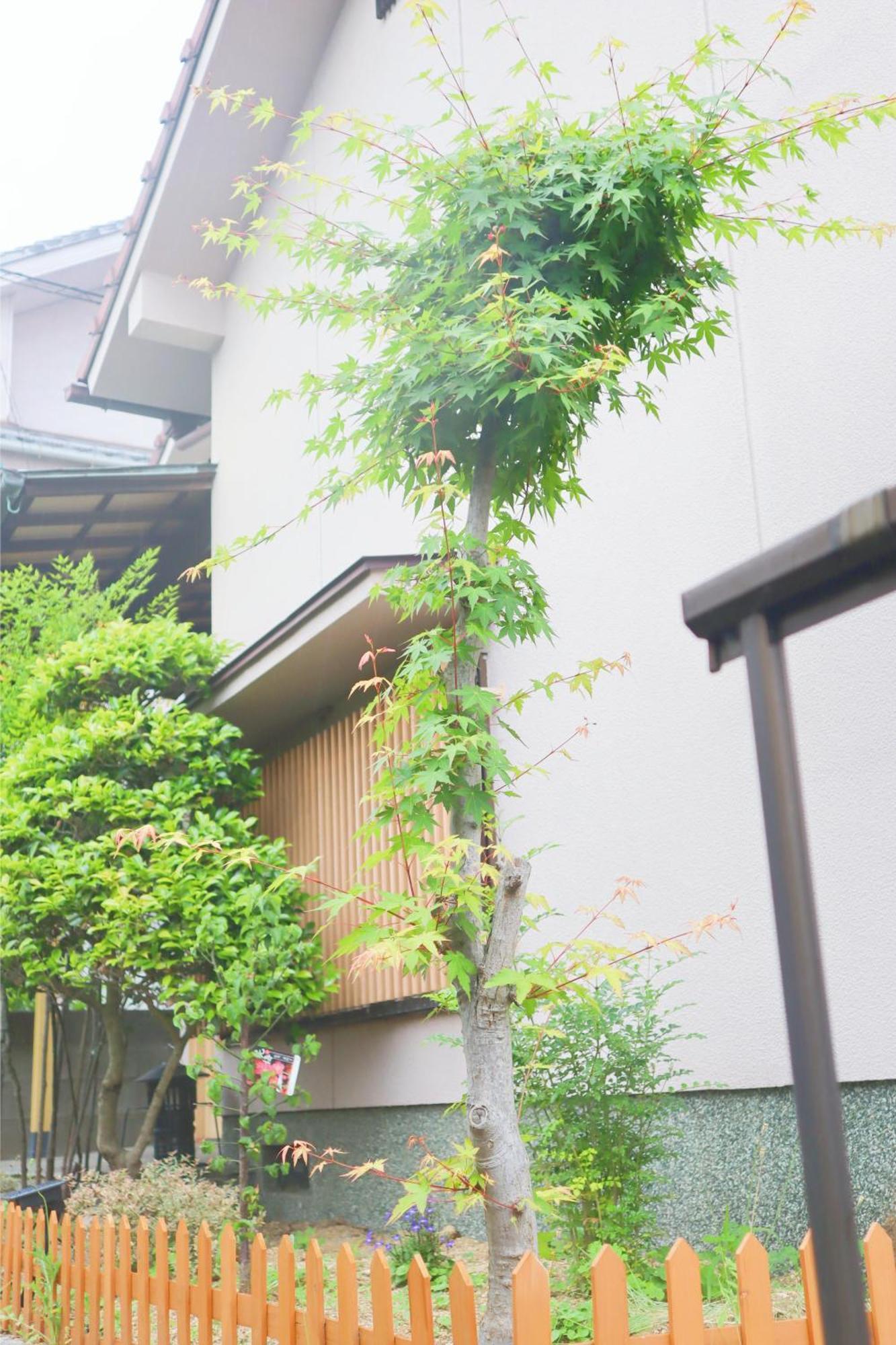 立花荘 Villa Matsuyama  Ngoại thất bức ảnh